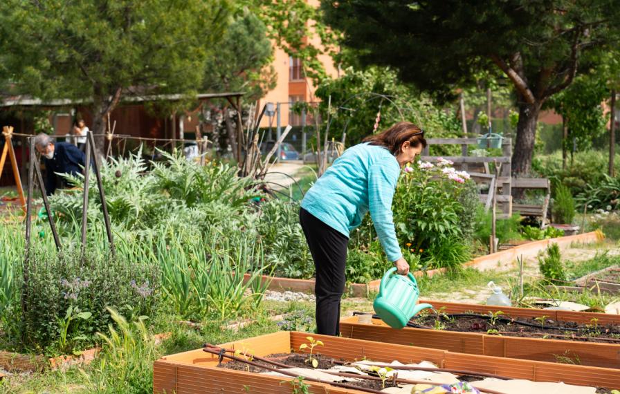 a person watering an outside garden