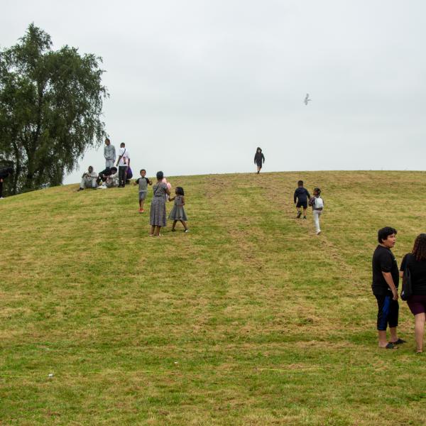  Children enjoying the view from “the big hill” in Flemington Park during the Lawrence Heights Summer Festival.