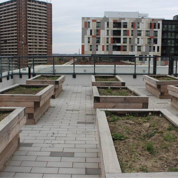 A rooftop garden with planter boxes outside of a building with other high-rise buildings in the background.