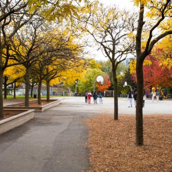 A park pathway lined with trees displaying vibrant autumn foliage in yellow and red, with a basketball court and playground visible in the background.