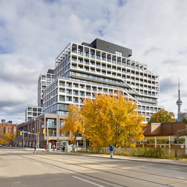 A city street with a tall building and a yellow tree.