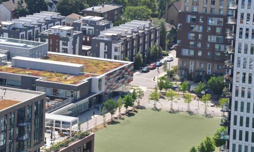 Aerial view of a soccer field and buildings with green roofs on Sackville St.