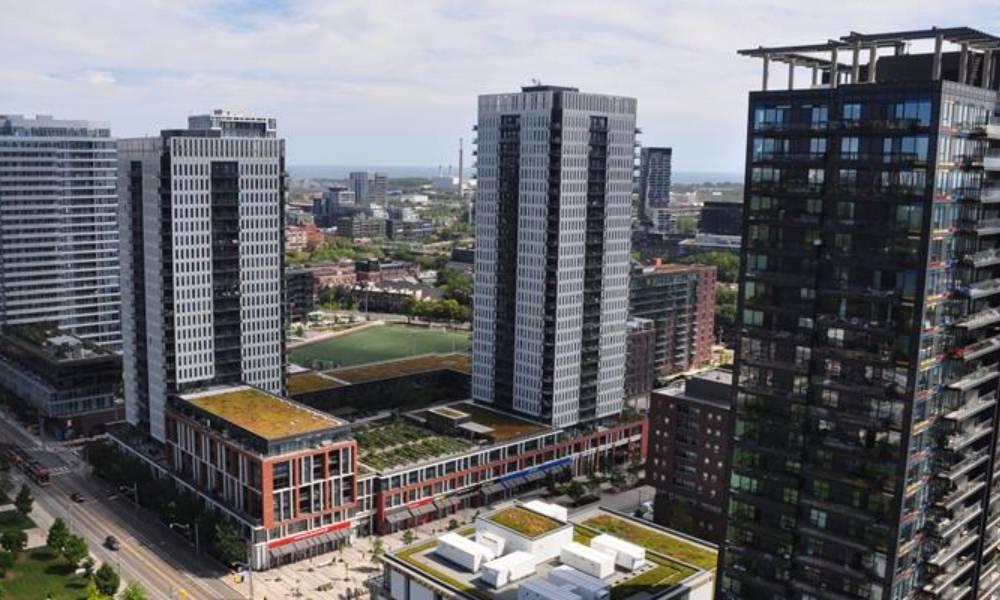 Aerial view of green roofs on Daniels Spectrum (lower right) and 77 Regent Park Blvd. (lower left).