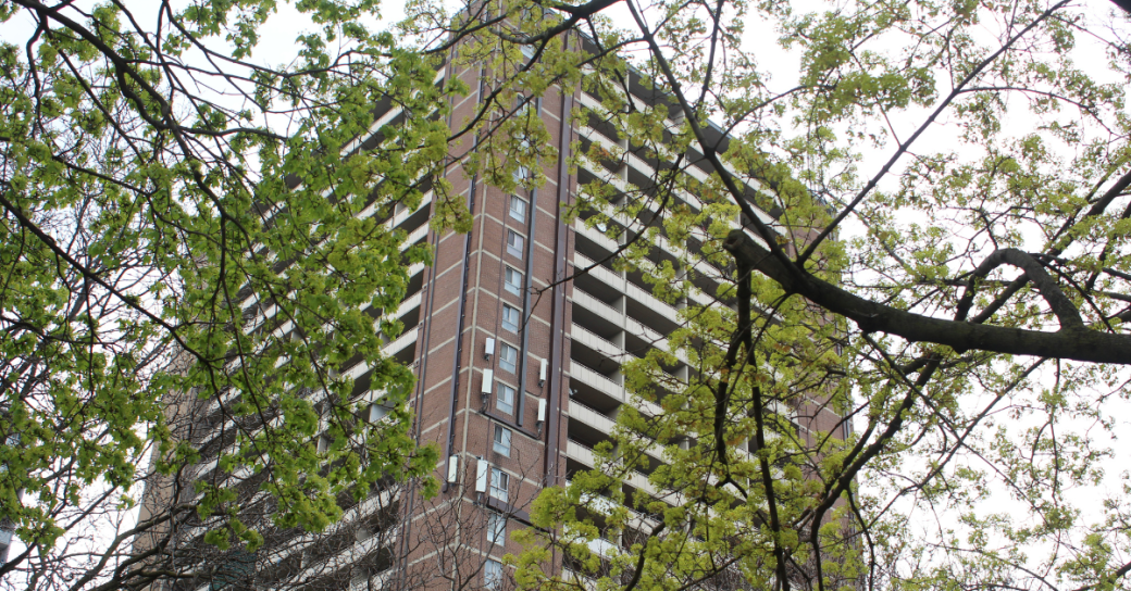 building surrounded with trees