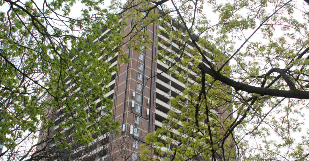 building surrounded with trees 