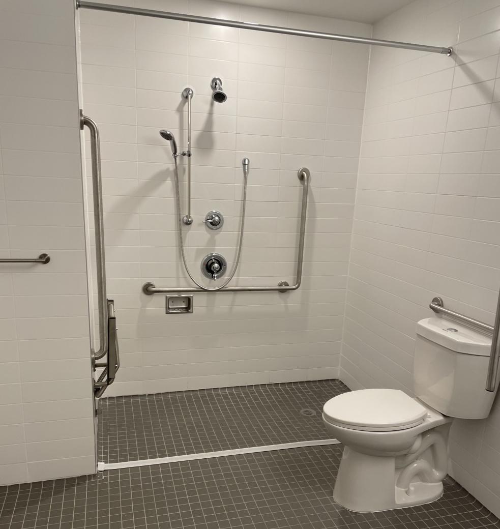 A washroom with a toilet and a shower