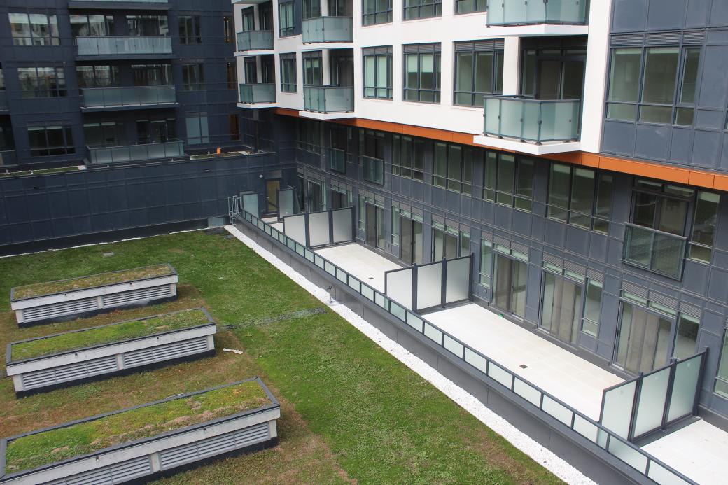 A green lawn with plant beds in it