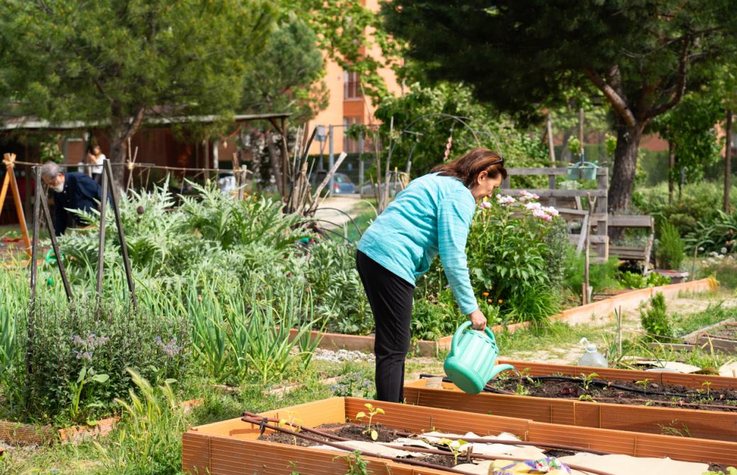a person watering an outside garden