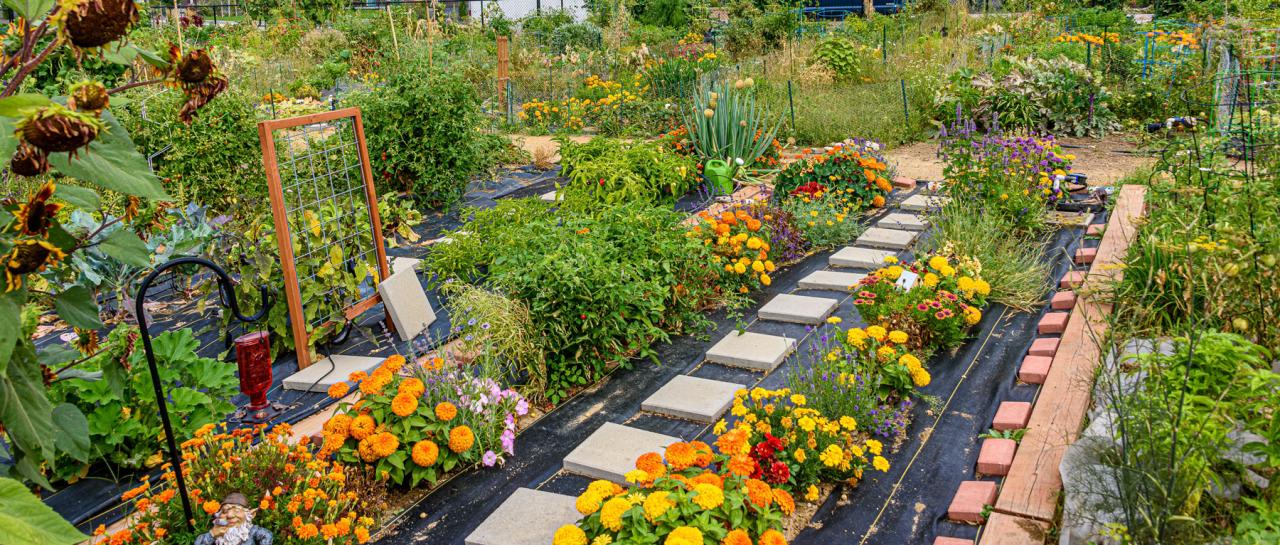 community garden